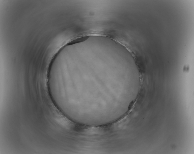 X0000090700293200708171852