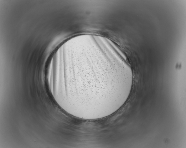 X0000090700294200708171852