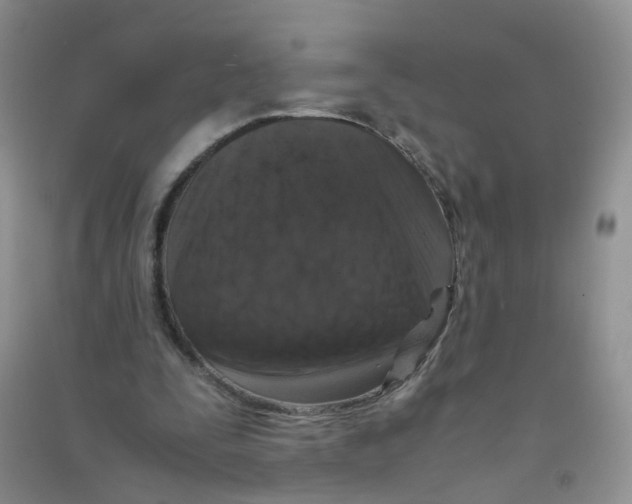 X0000090700295200708171852