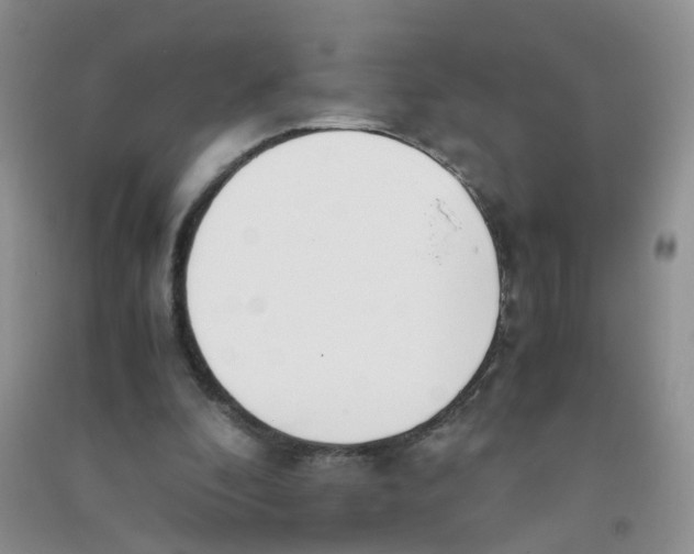 X0000090700296200708171852