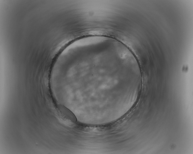 X0000090700297200708171852