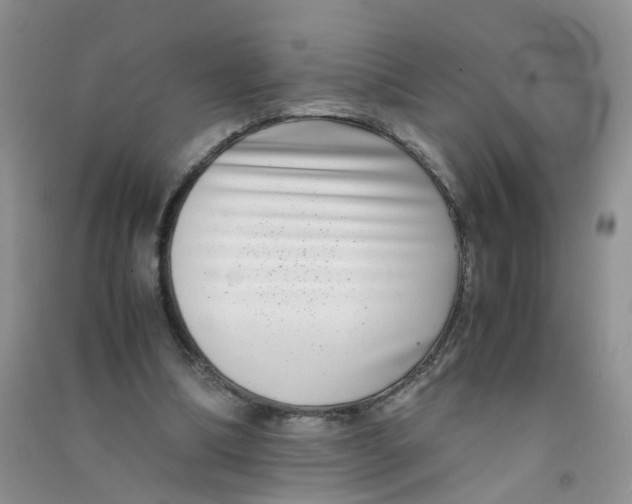 X0000090700298200708171852