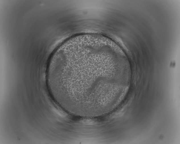 X0000090700299200708171852