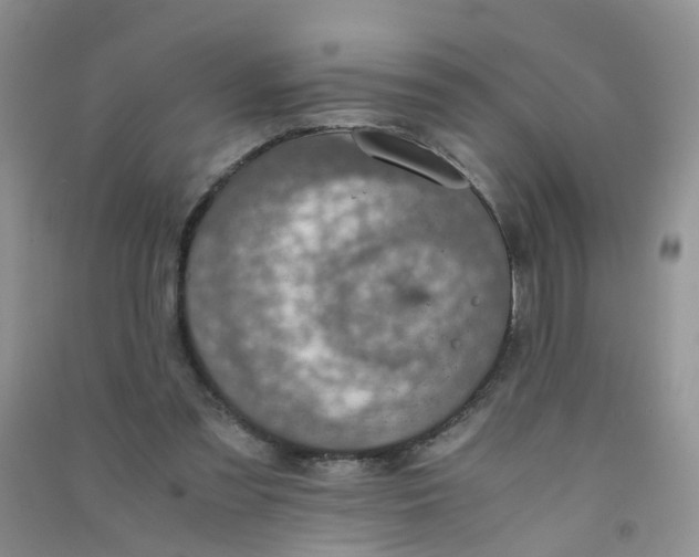 X0000090700301200708171852