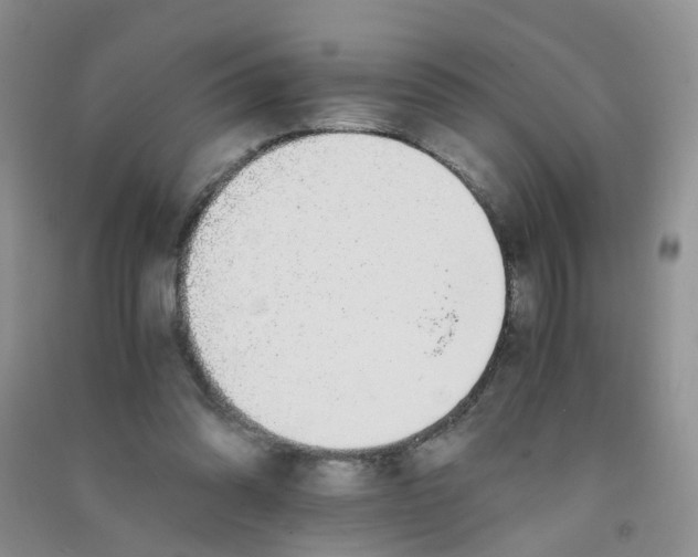 X0000090700302200708171852