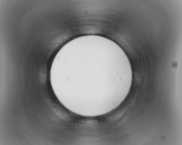 X0000090700304200708171852