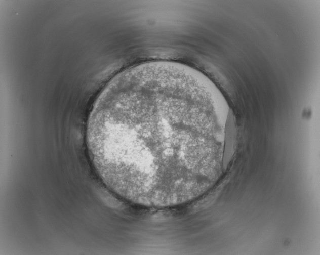 X0000090700305200708171852