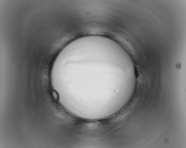 X0000090700306200708171852