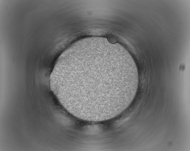 X0000090700307200708171851