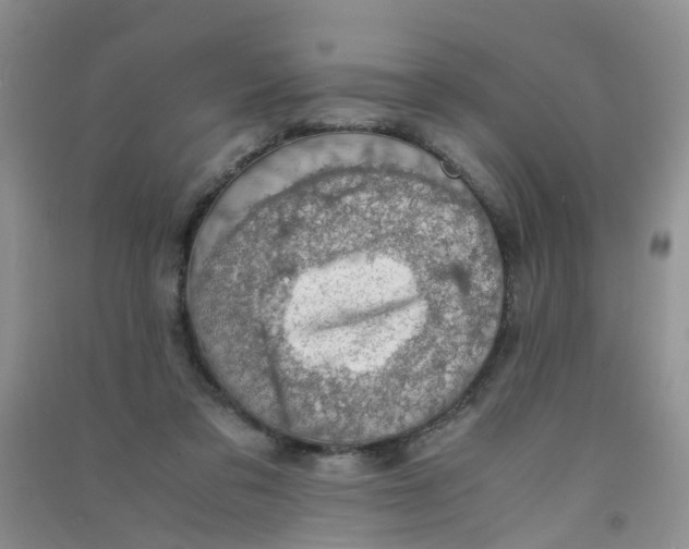 X0000090700309200708171851