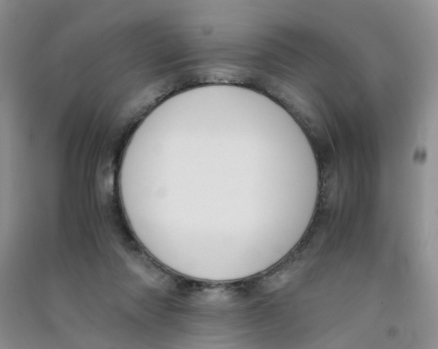 X0000090700310200708171851