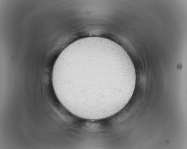 X0000090700311200708171851