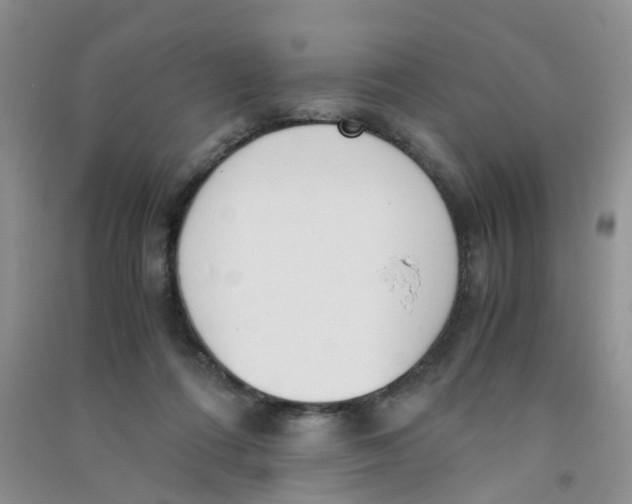 X0000090700312200708171851