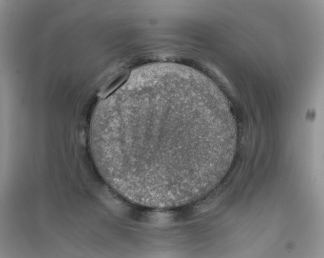 X0000090700313200708171851