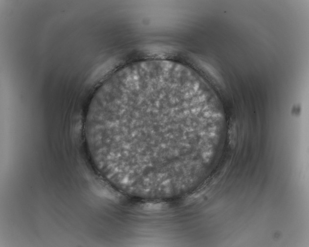 X0000090700314200708171851