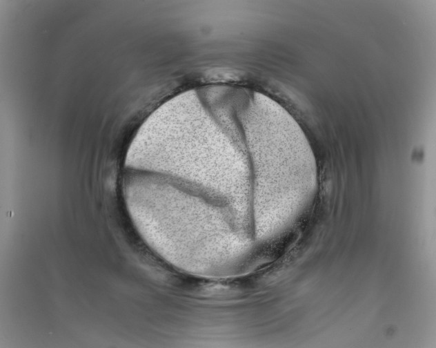 X0000090700315200708171851