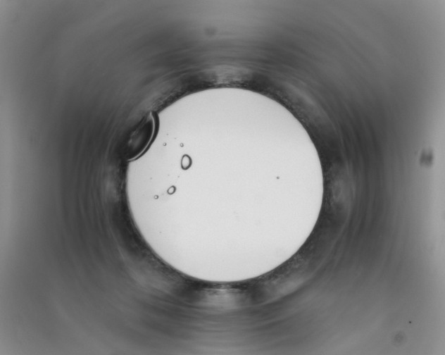 X0000090700316200708171851