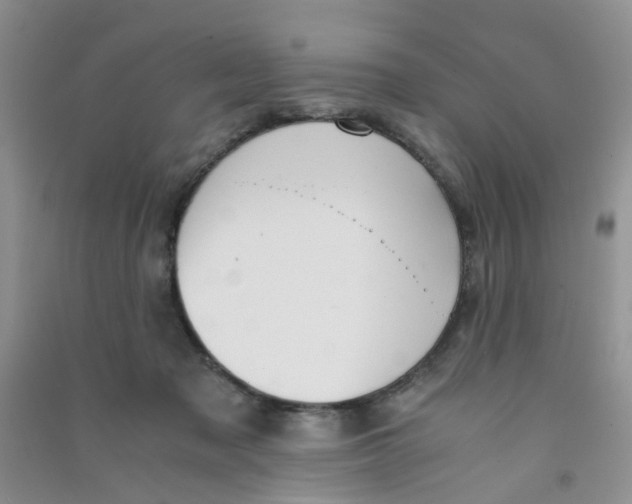 X0000090700317200708171851