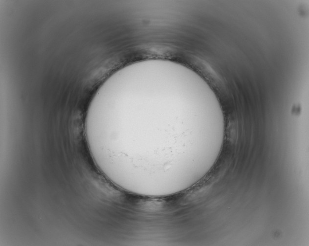 X0000090700318200708171851