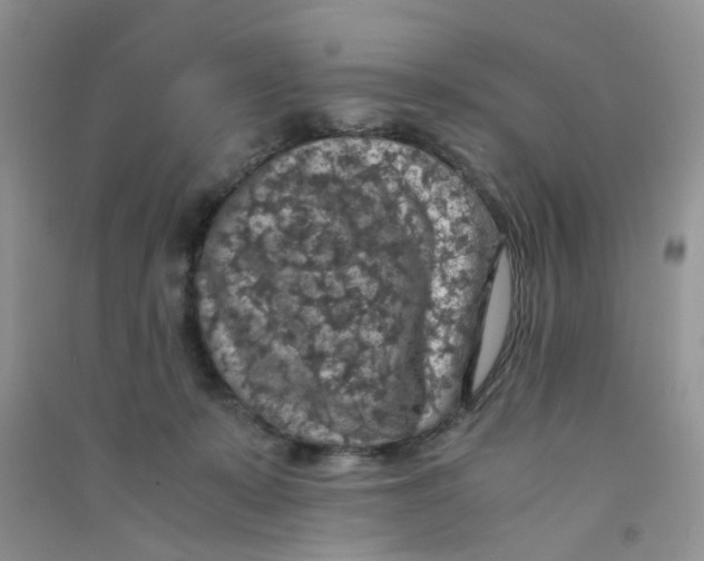 X0000090700319200708171851