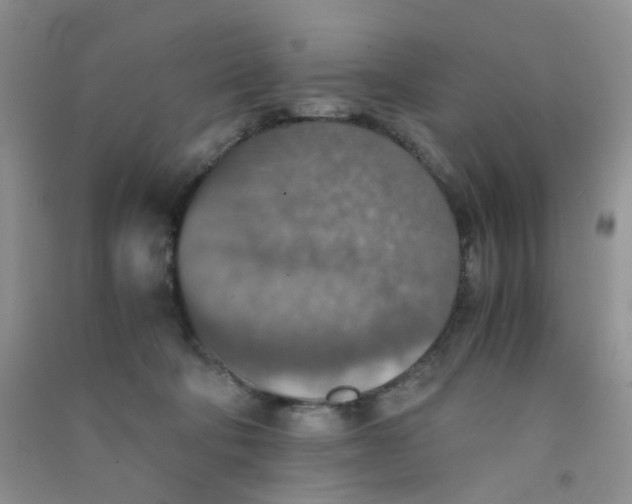 X0000090700322200708171851