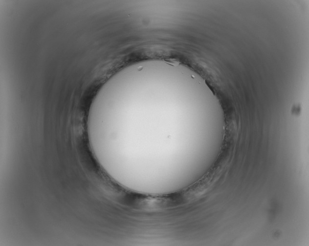 X0000090700323200708171851