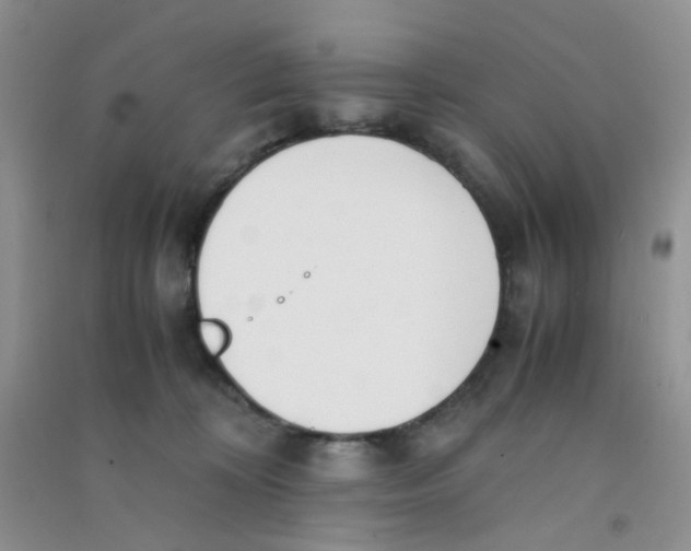 X0000090700324200708171851