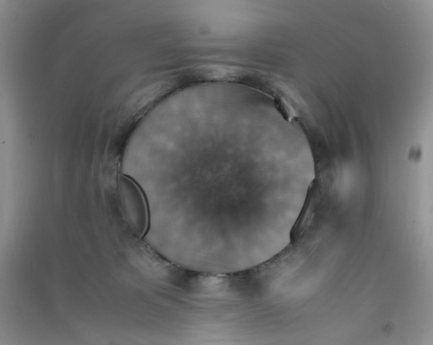 X0000090700325200708171851