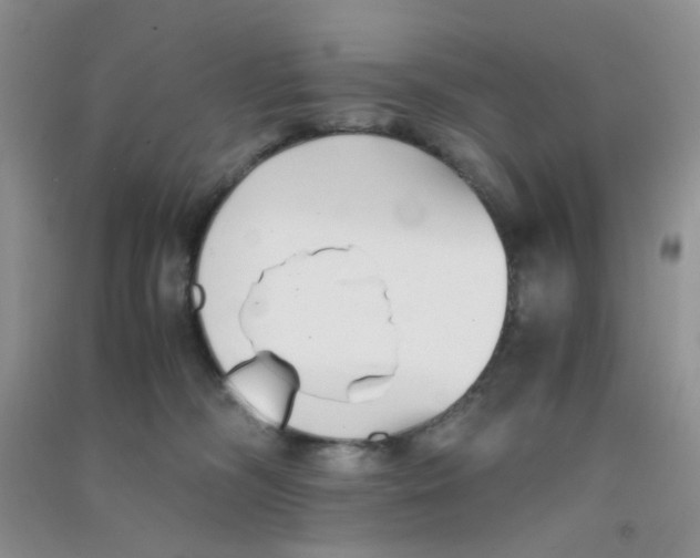 X0000090700326200708171851