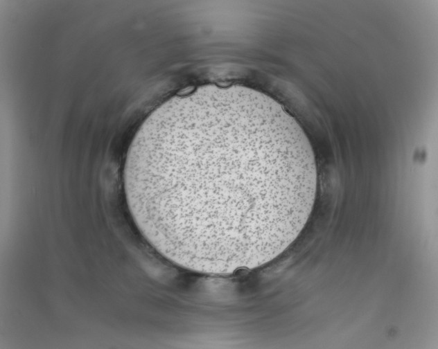 X0000090700327200708171851