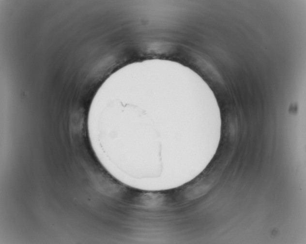 X0000090700328200708171851