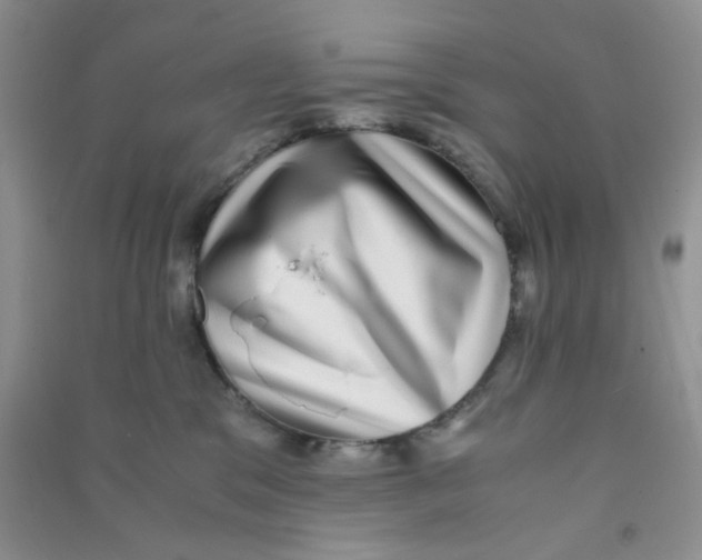 X0000090700329200708171851