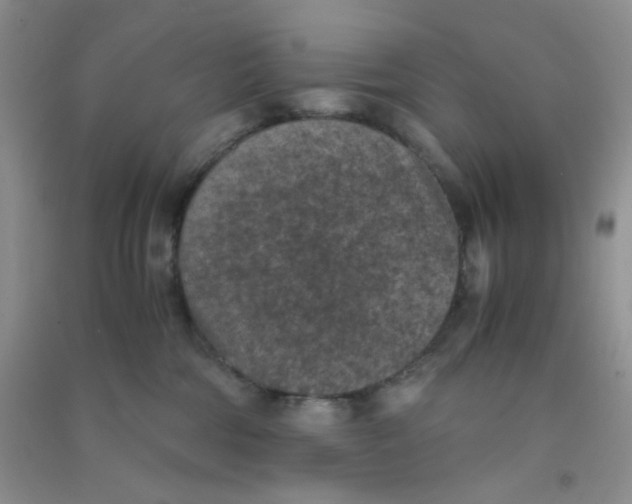 X0000090700330200708171851