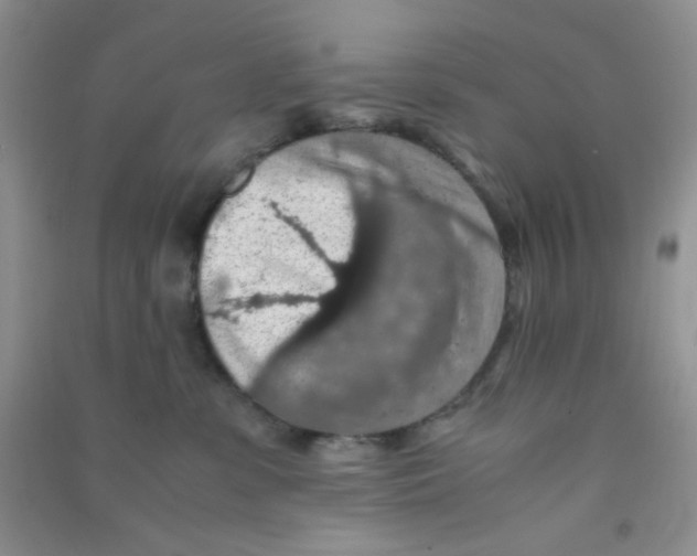 X0000090700331200708171851