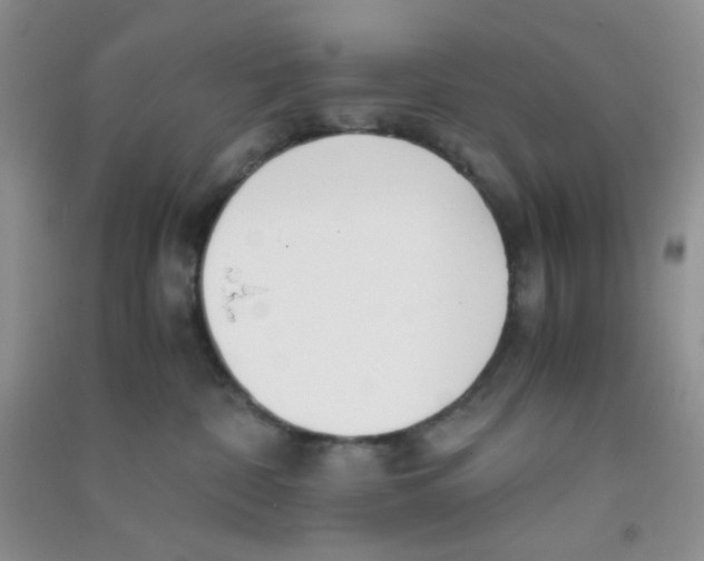 X0000090700332200708171851