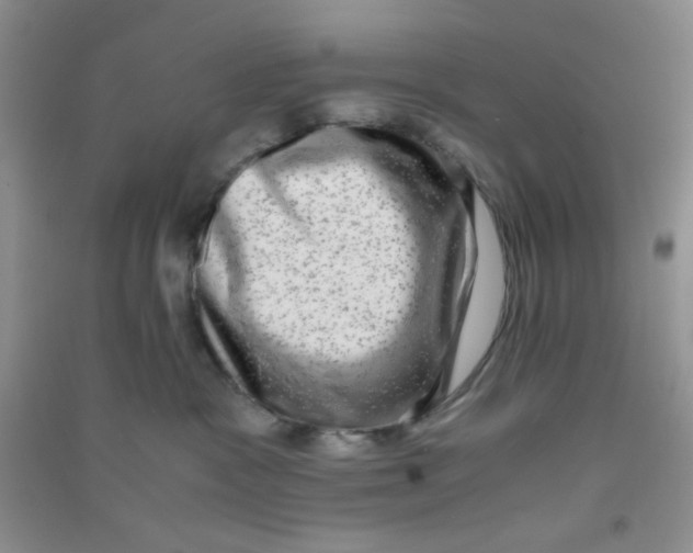 X0000090700333200708171851