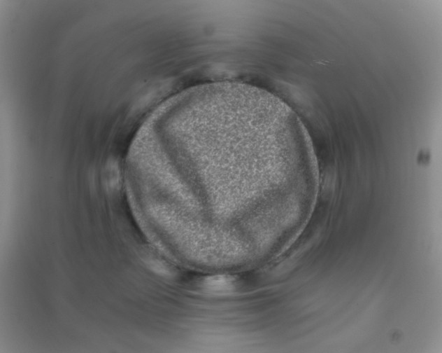 X0000090700335200708171851