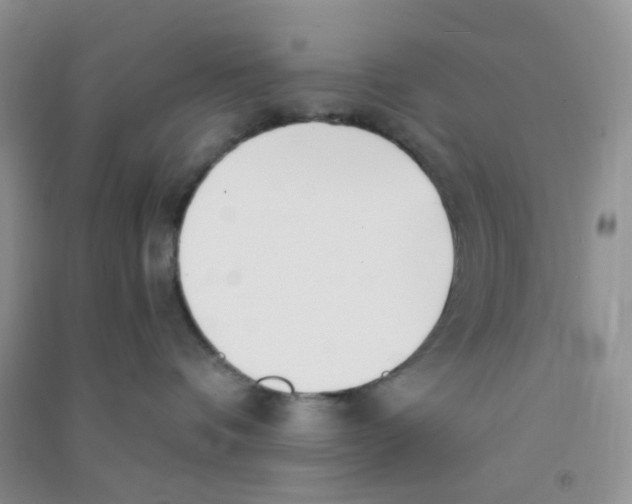 X0000090700336200708171851