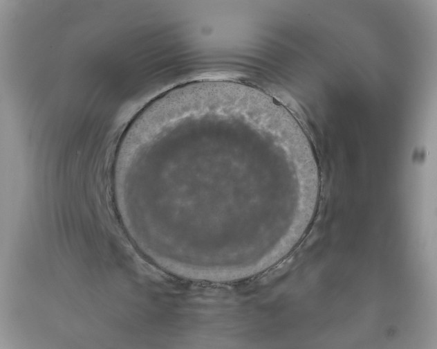 X0000090700337200708171851