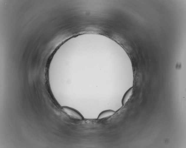 X0000090700338200708171851