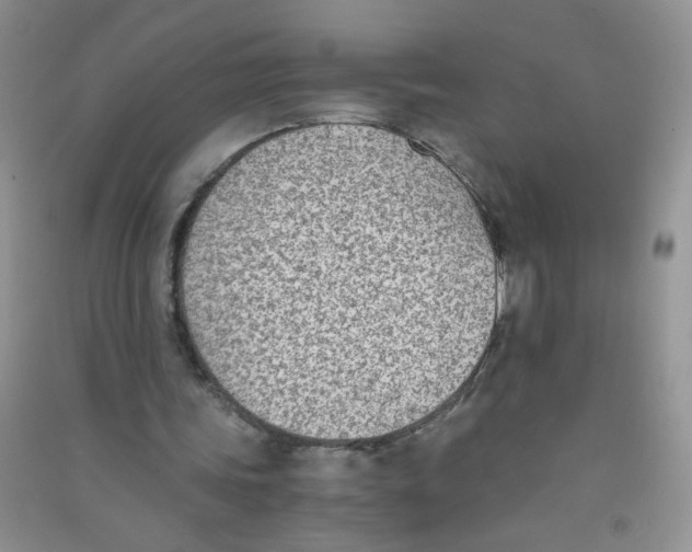 X0000090700339200708171851