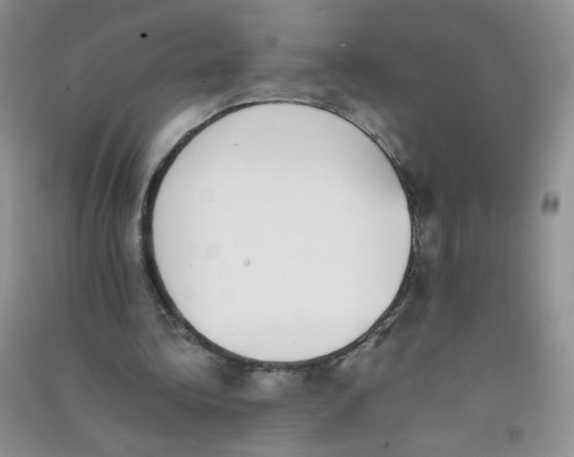 X0000090700340200708171851