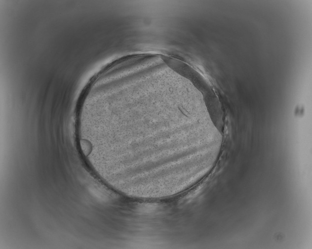 X0000090700342200708171851