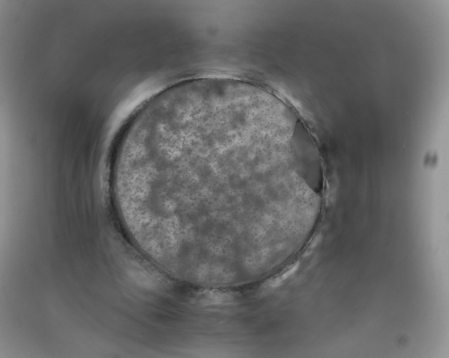 X0000090700343200708171851