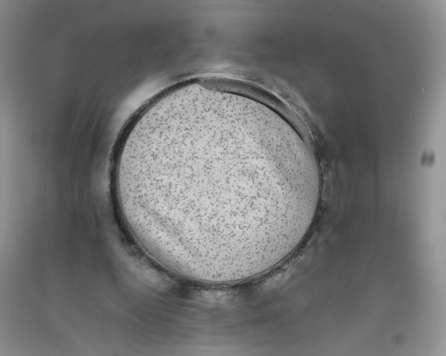 X0000090700344200708171851