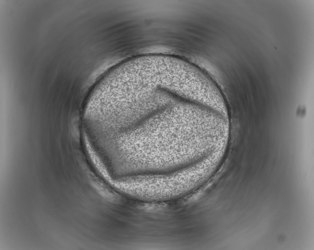 X0000090700345200708171851