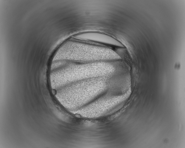 X0000090700346200708171851