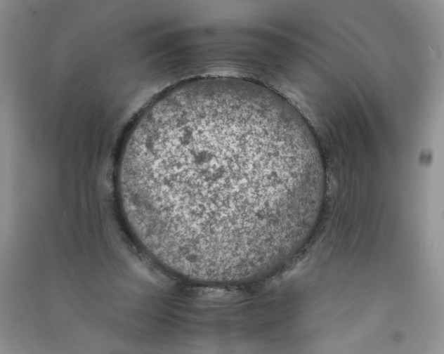 X0000090700347200708171851