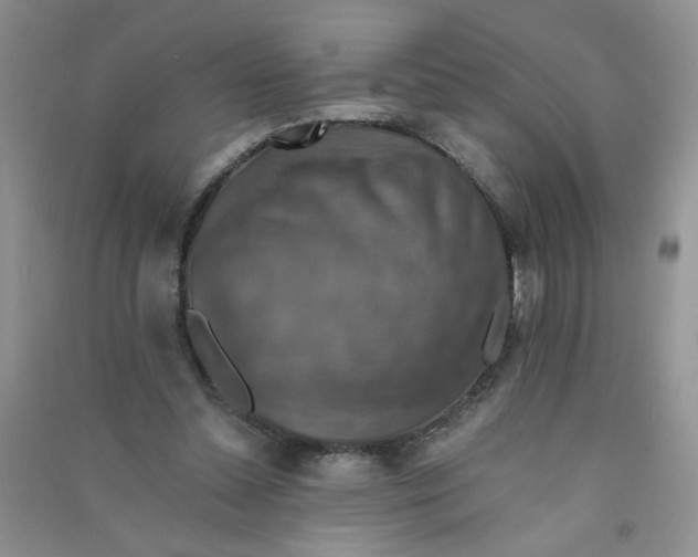 X0000090700348200708171851