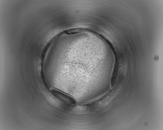 X0000090700350200708171851